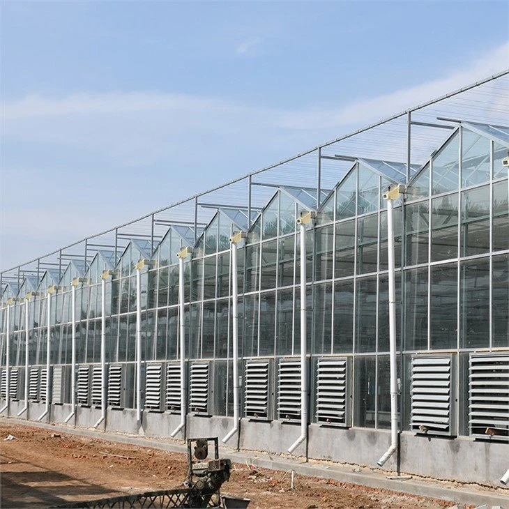 Glass Greenhouse