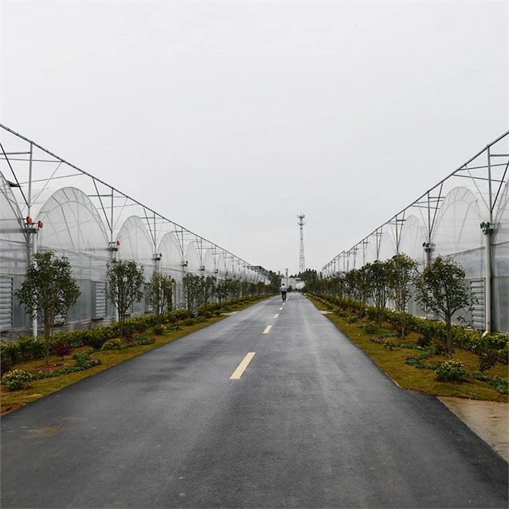 Greenhouse Cover Film
