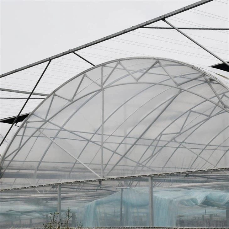 Greenhouse Cover Film