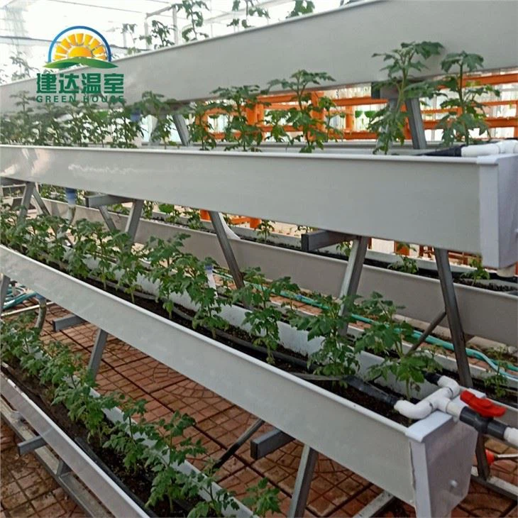 Hydroponic Vegetable Planting Gutter