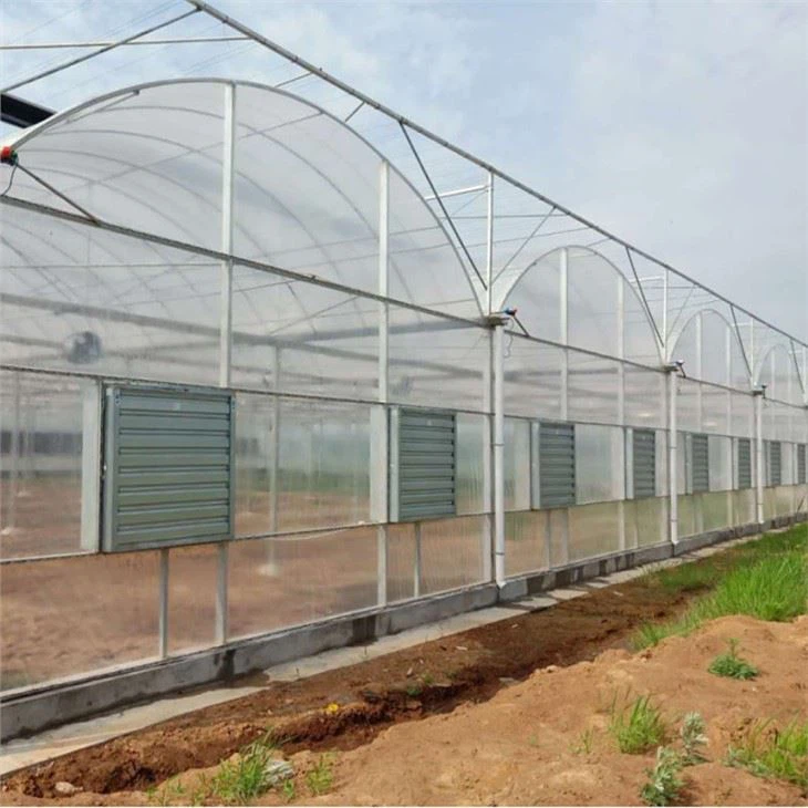 Film Greenhouse Glass Greenhouse PC Greenhouse With Irrigation Hydroponic System For Mushroom Vegetable