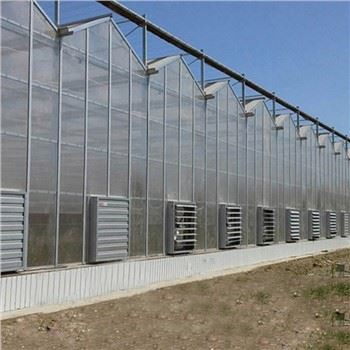 सिंचाई प्रणाली के साथ चीन वेनलो पॉली कार्बोनेट ग्रीनहाउस