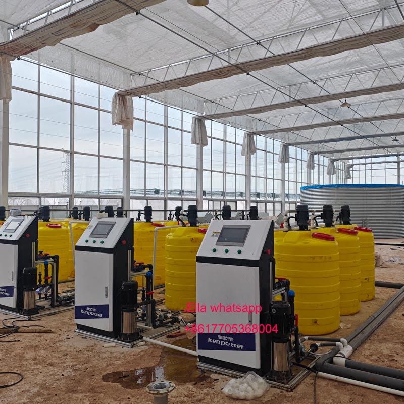 tomato greenhouse 2 tomato greenhouse 2