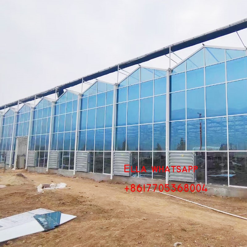 glass green house glass green house