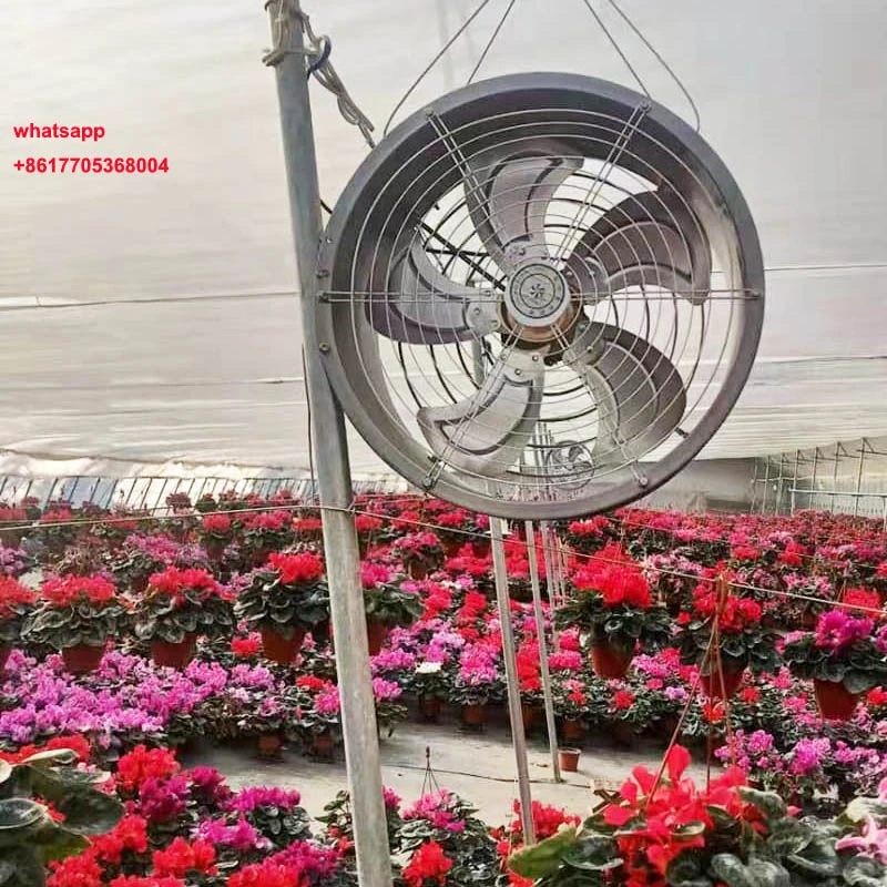 circulation fan circulation fan